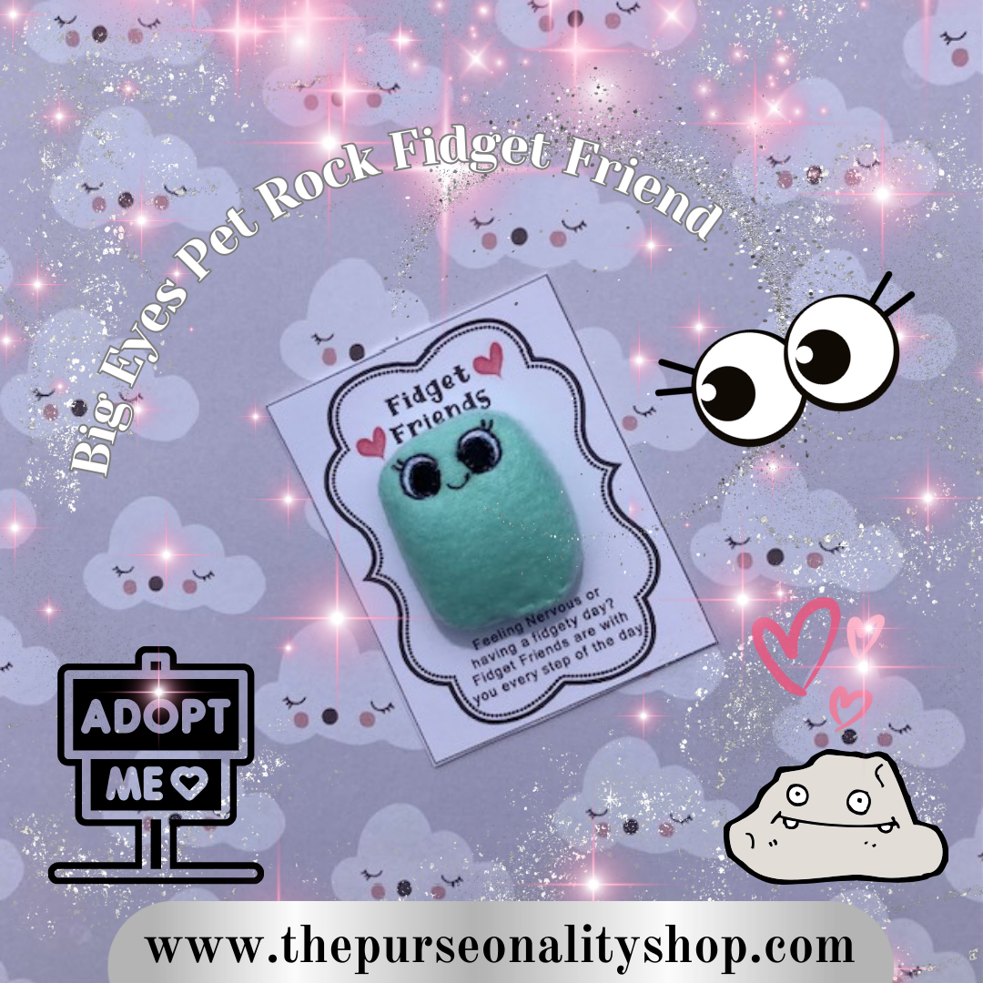 Big Eyes Pet Rock Fidget Friend